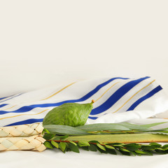 Jewish festival of Sukkot. Traditional symbols (The four species): Etrog, lulav, hadas, arava