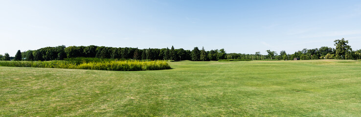 panoramic shot of blue sky in green park with trees in summertime