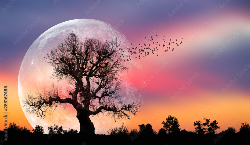 Aufkleber Silhouette of birds with lone tree in the background big full moon at amazing sunset 