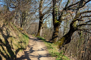 Walking trail in French countryside with beautiful view on green flowering hills, France