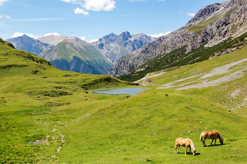 Bormio - Livigno (IT) - Val Alpisella