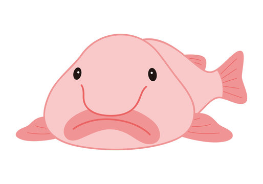 3D Printable Blobmaid | Presupported | Mermaid Fish Blobfish by The Dragon  Trappers Lodge
