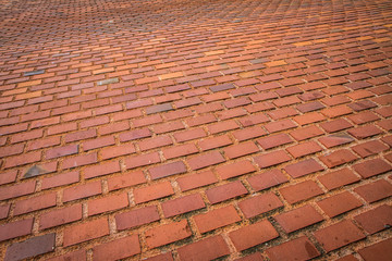 Brick wall in close up	