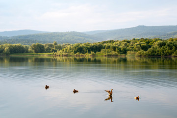 beautiful summer lake against the background of high mountains and blue sky