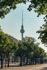 Berlin TV Tower at summer in Berlin