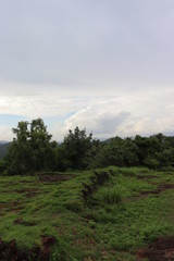 green lawn in the background of blue sky