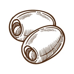 Olives isolated sketch, Greek food or plant fruits, harvest