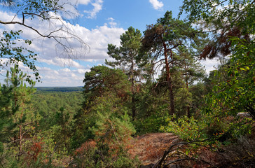Trois pignons forest panoramic view in French Gâtinais regional nature park