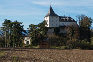 Fototapeta na wymiar Castle Pitten in Lower Austria,Europe