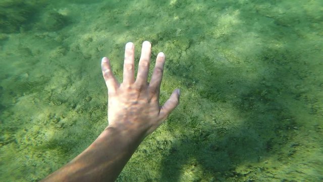 human hand underwater, white skin, sunbeams, sun rays