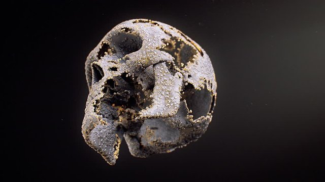 Stock motion graphics video shows particles forming a human skull that rotates on a black background