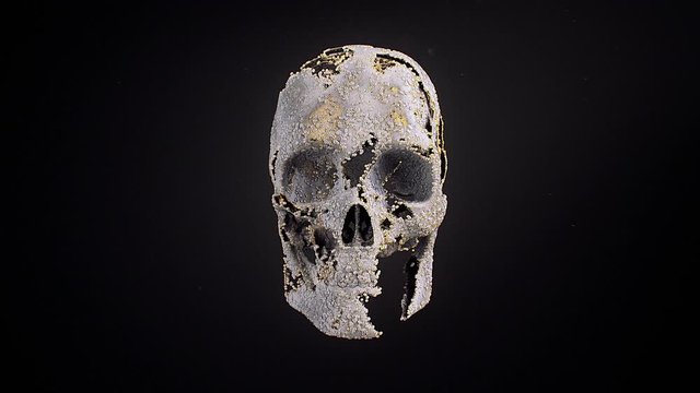 Stock motion graphics video shows particles forming a human skull and rotating on a black background