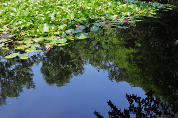 日本　札幌　旧北海道庁の庭園