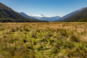 Cross the Haast Pass and looking down a flat valley towards the Southern Alps mountain range in Otago New Zealand, against a clear blue sky