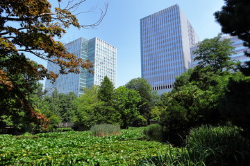 日本　札幌　旧北海道庁の庭園