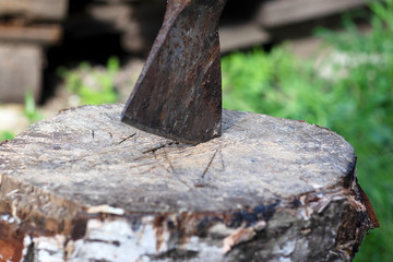 Closeup rusty ax sticking out in a wooden birch stump. Cleaver chopping