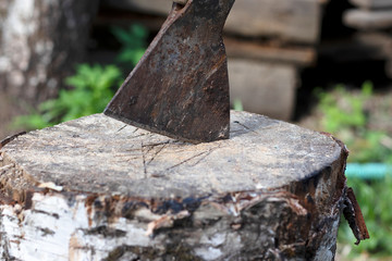 Closeup rusty ax sticking out in a wooden stump. Cleaver chopping.