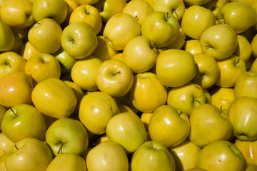 Background texture of yellow apple