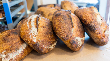 Assortment of baked bread
