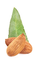 Almond isolated on white background