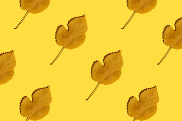Pattern made of autumn leaves on yellow background. Creative layout.