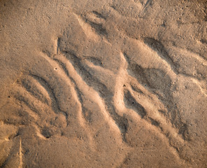 Sandy backdrop ready for design