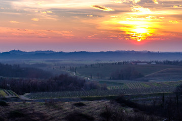 Spring sunset in the vineyards of Collio Friulano