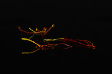 Fototapeta na wymiar Group of three whole dry shaffron thread isolated on black glass