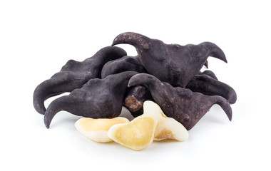 Water chestnut, Water caltrops on white background . full depth of field