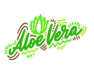 Fototapeta premium Aloe vera vector illustration.Vector set of element for advertising, packaging design of products.