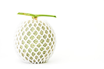 Melon or Cantaloupe fruit in foam mesh for shockproof in transportation or sale Isolated on white background. sweet fruit. This has clipping path.