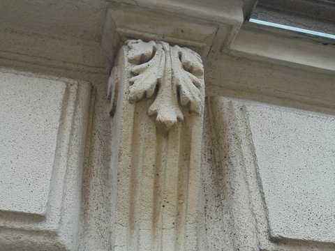Acanthus