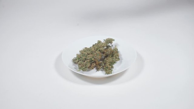 policeman puts on a plate seized marijuana from the offender
