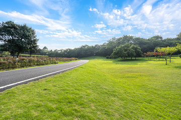 road in park