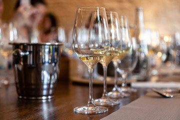 Closeup row of glasses with white wine stand on table, metal bucket for spitting. Concept professional vertical tasting great top white wines, sommelier training, school. Degustation in chateau - obrazy, fototapety, plakaty
