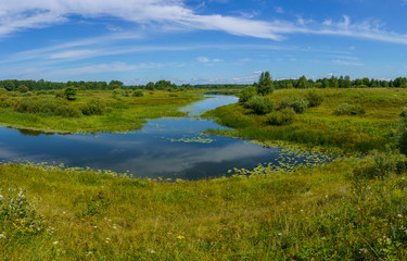 river overgrown with sedge and water lilies, among flood meadows and forests