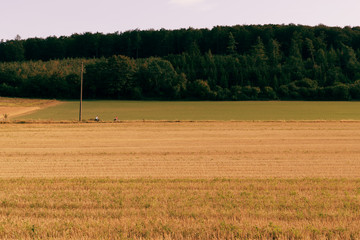 Obraz premium radfahren