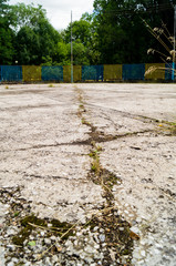 Naklejka premium Old floor. Cracks and fractures on the surface. Grass grows through concrete.