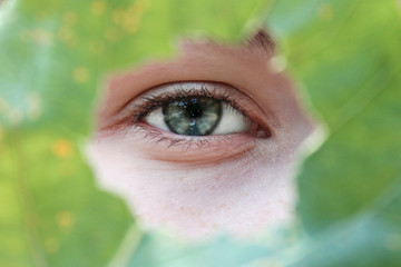 Green eye close-up with a green frame. Beauty concept. Picture for wallpaper