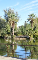 Landscape, plants and lake in the Citadel Park - Barcelona Spain (Catalonia)