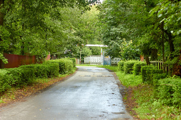 Nature,forest, flowers, greenery, summer, wooden house.