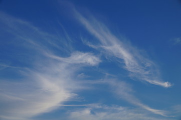 Clouds in the sky on a clear Sunny day. The sky is blue, the clouds are white, tender