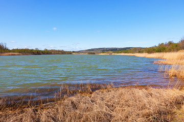 Lake with reeds