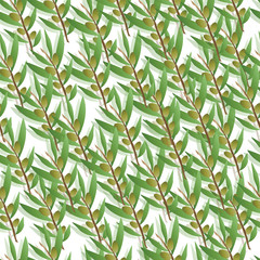 seamless pattern with olive trees vector - green floral pattern