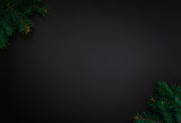 Tree branch on dark background used for christmas decoration. Christmas, winter, new year concept. Nature New Year concept.