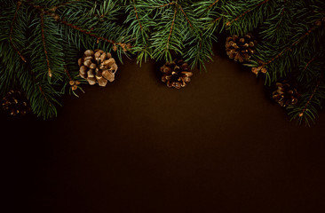 Tree branch and pine cone on dark background used for christmas decoration. Christmas, winter, nature New Year concept.