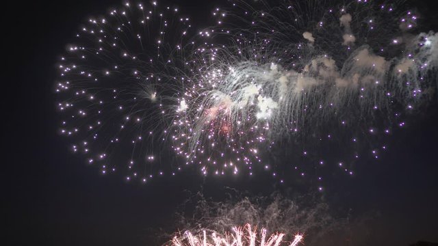 Fantastic colorful firework show in the night sky.