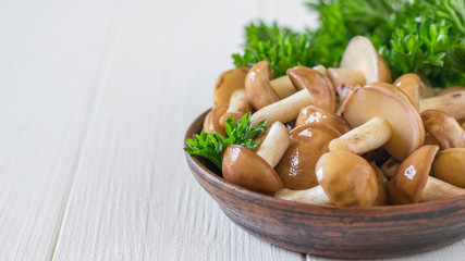 Fresh mushrooms from the forest with herbs on a white wooden table.