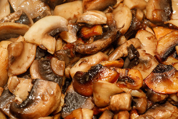 Fried champignon mushrooms in a pan closeup background texture