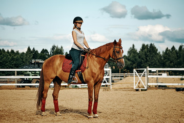 Obraz premium girl rider on horseback. horseback riding.